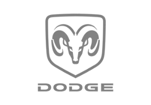 &#x635;&#x648;&#x631;&#x629; &#x644;&#x642;&#x633;&#x645; &#x62F;&#x648;&#x62F;&#x62C;